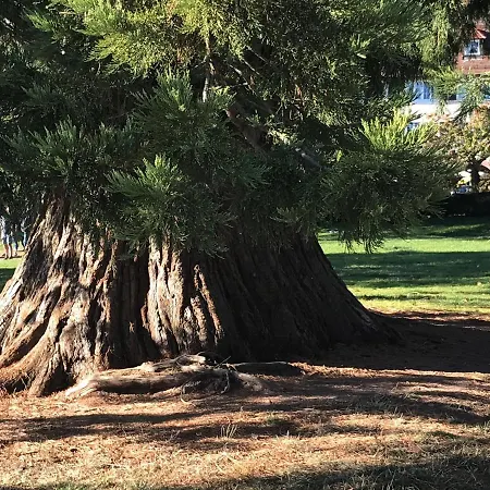 아파트 East View 프로이덴슈타트