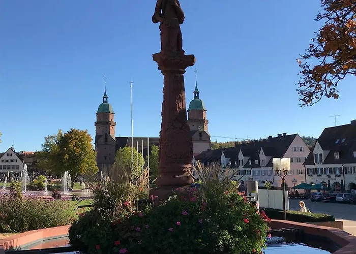 East View Lägenhet Freudenstadt