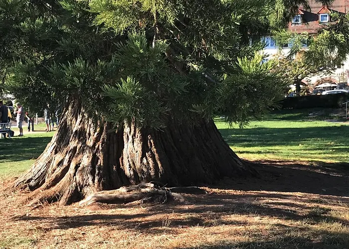 公寓 East View 弗罗伊登施塔特